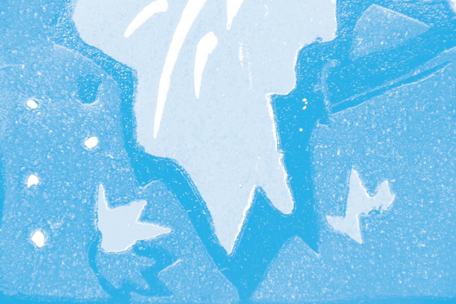 widget image